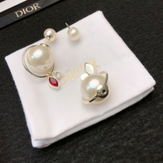 Christian Dior Earrings